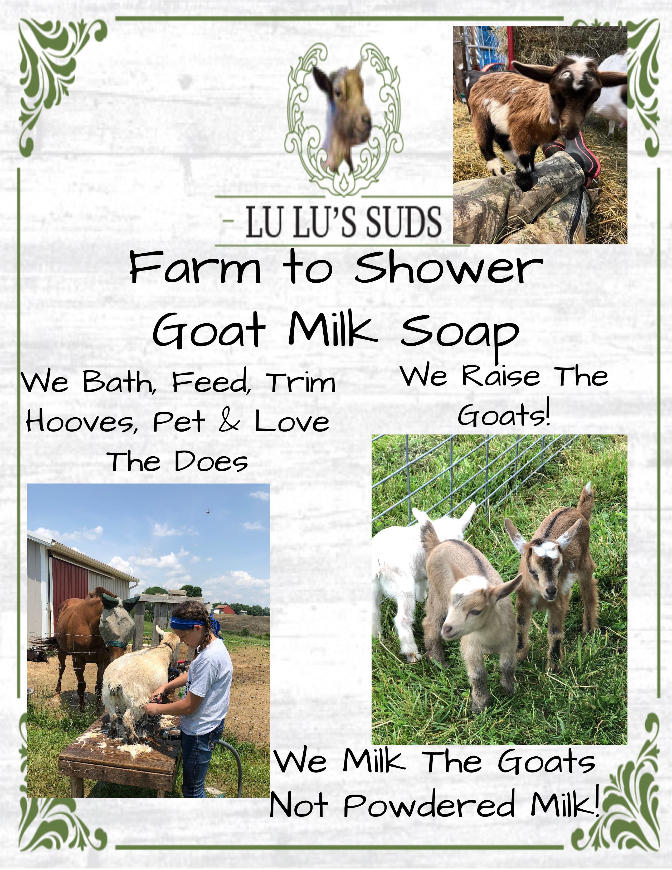 Eucalyptus Mint Goat Milk Soap 5 oz.